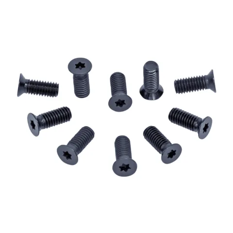 Vis de rechange p.arbre de rabotage du couteau à spirale (10 pcs.)
